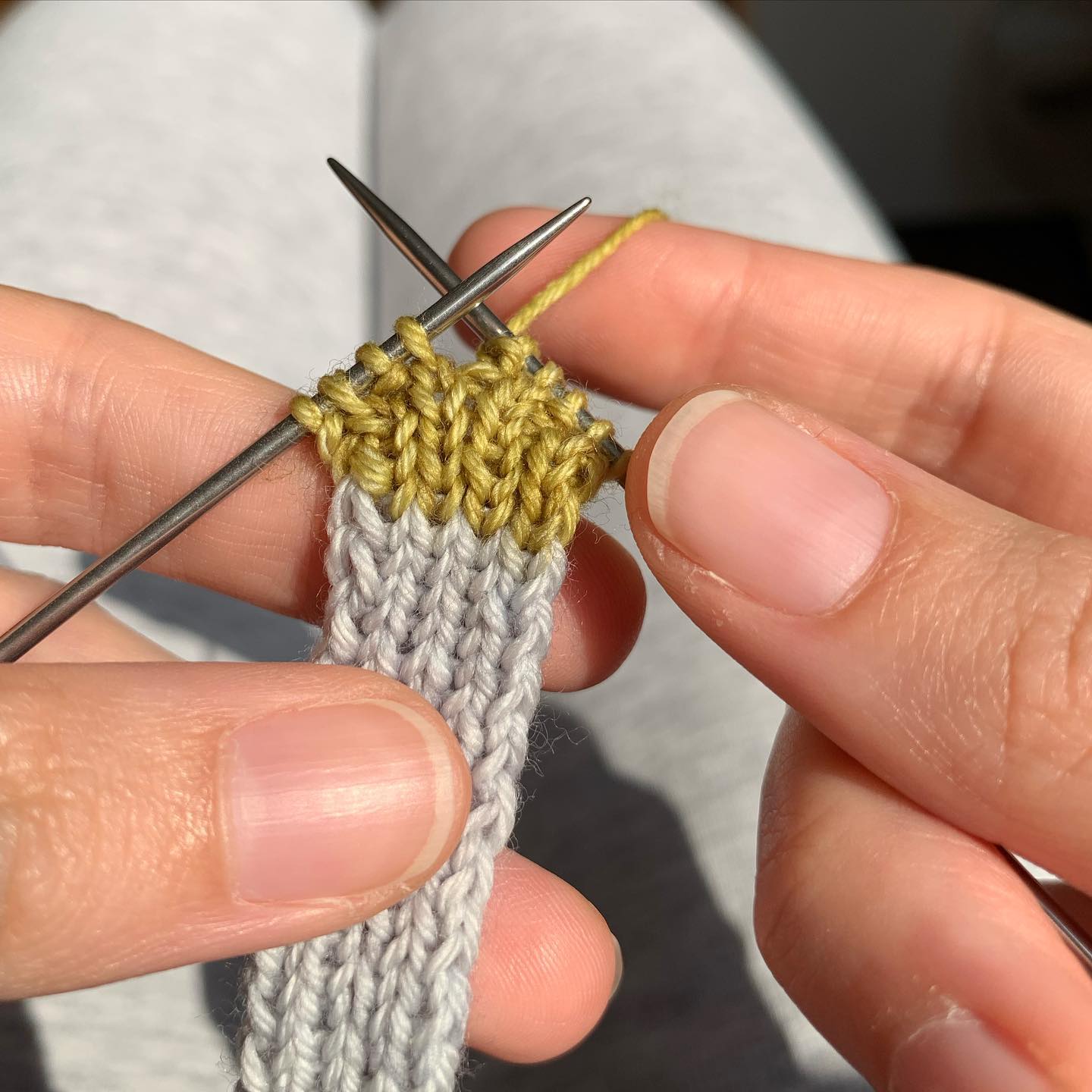 🧣 Mini écharpe pour un nouveau venu…